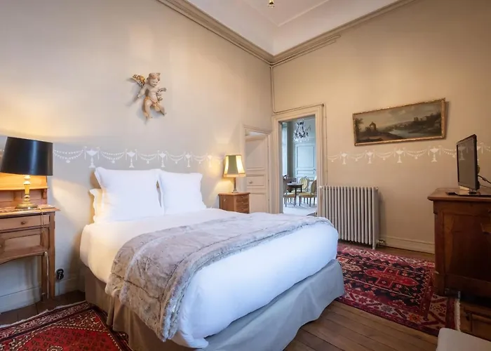Hôtel de Panette - Un Château en Ville